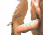 hardtool-6